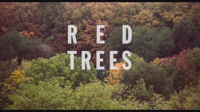 Red Trees (2017) Fragman