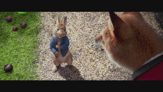 Peter Rabbit (2017) Türkçe Dublajlı Fragman