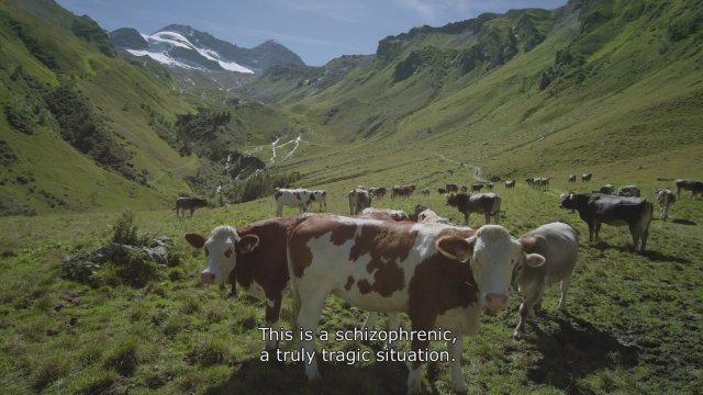 Tel Örgü (2018) Fragman