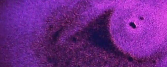 Obsession (1976) Fragman