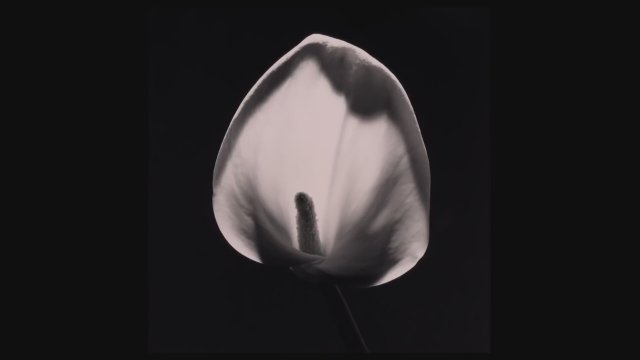 Mapplethorpe (2019) Fragman