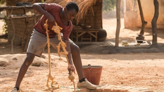 The Boy Who Harnessed The Wind (2019) Fragman