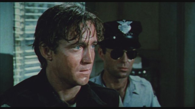 In the Heat of the Night (1967) Fragman