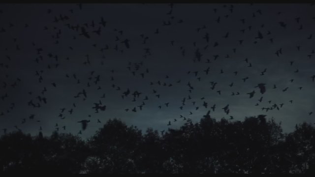 The Dead Don't Die (2019) Fragman