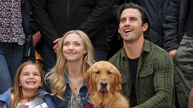 The Art of Racing in the Rain (2019) TR Altyazılı Fragman