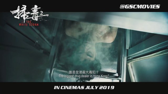 The White Storm 2: Drug Lords (2019) Teaser Fragman