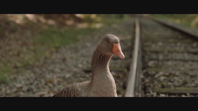 Gooseboy (2019) Fragman