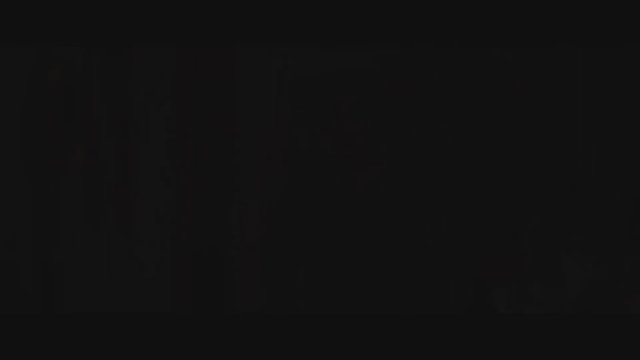 Parasite (2019) 3. Fragman