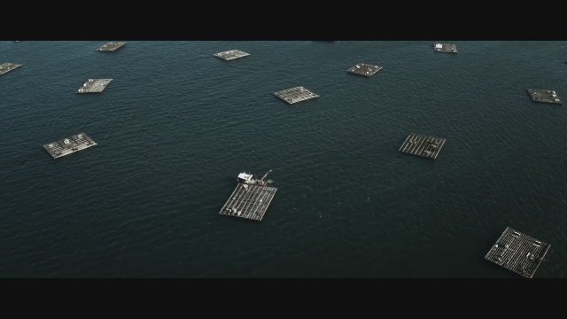 Quien a hierro mata (2019) Fragman