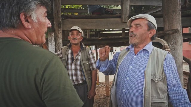 Kraliçe Lear (2019) Fragman