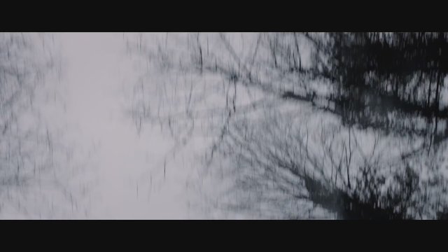 Güzelliğin Portresi (2019) Fragman