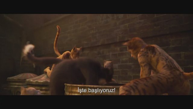 Cats (2019) Altyazılı 3. Fragman