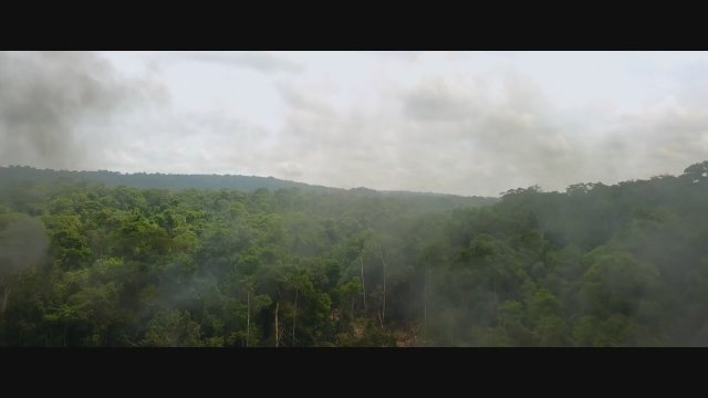 Aruanas (2019) Fragman