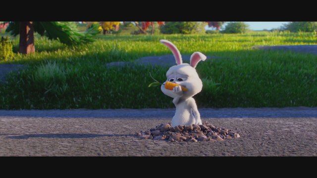 Elleville Elfrid (2020) Fragman