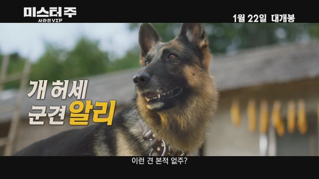 Mr. Zoo: The Missing VIP (2020) Fragman