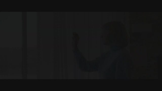 Swallow (2019) Fragman