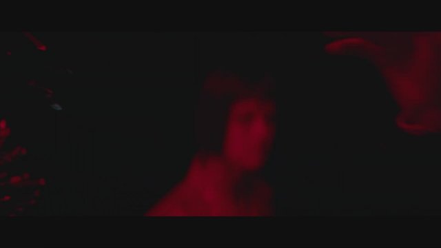 Koirat eivät käytä housuja (2019) Fragman