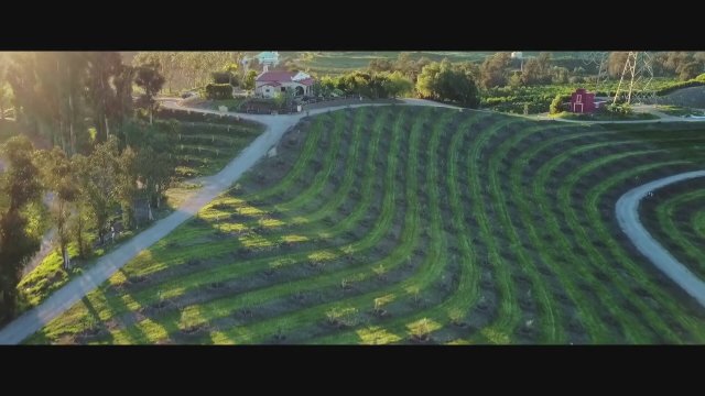 The Biggest Little Farm (2018) Fragman