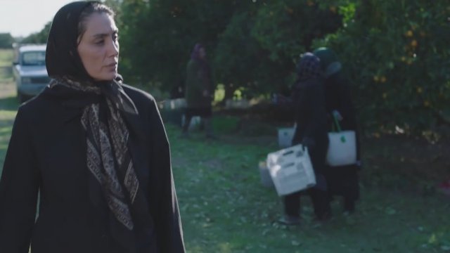 Orange Days (2018) Fragman