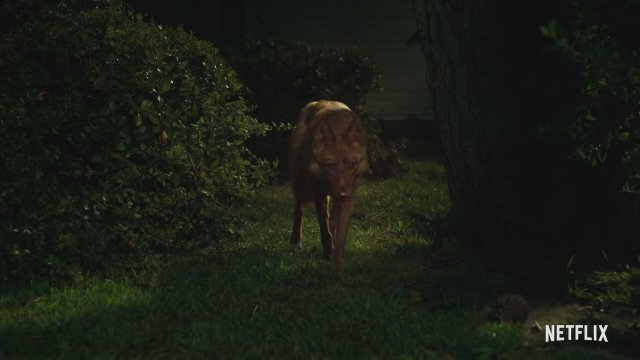 Never Have I Ever (2020) Fragman