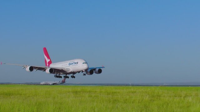 Swimming for Gold (2020) Fragman