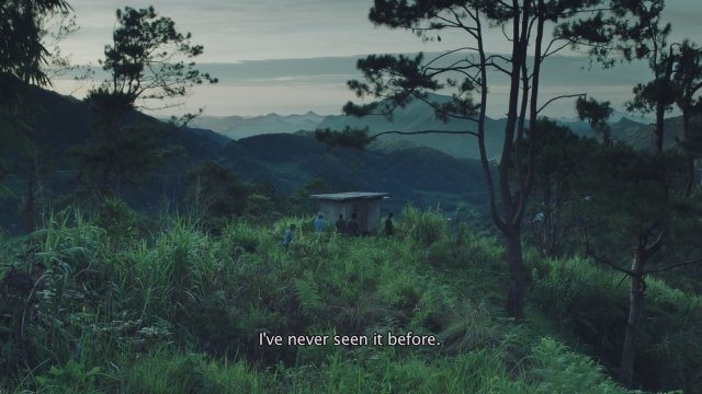 Window Boy Would Also Like to Have a Submarine (2020) Fragman