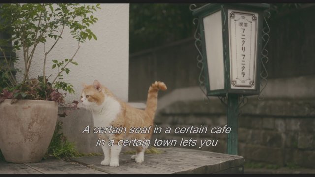 Cafe Funiculi Funicula (2018) Fragman