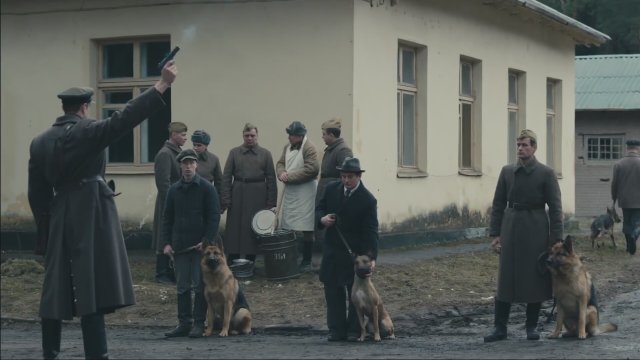 Red Dog (2016) Fragman