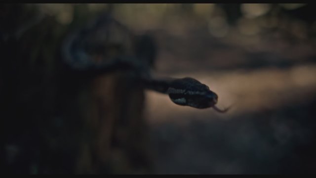 Hunted (2020) Fragman