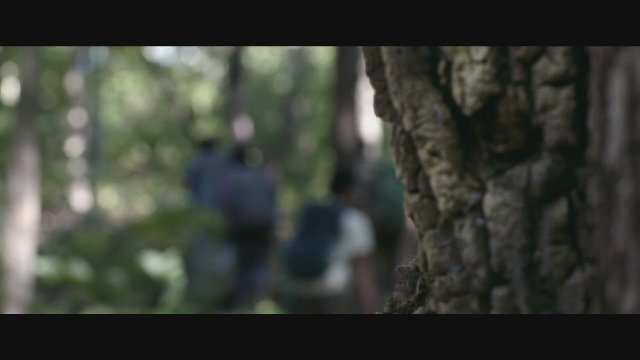 Wrong Turn (2021) Fragman