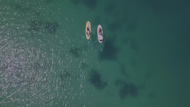 6-Headed Shark Attack (2018) Fragman