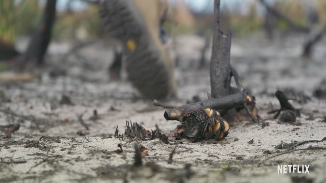 Breaking Boundaries: The Science of Our Planet (2021) Fragman