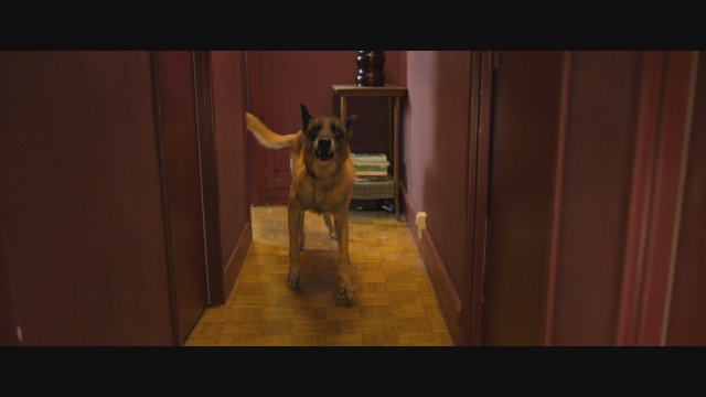 La daronne (2020) Fragman