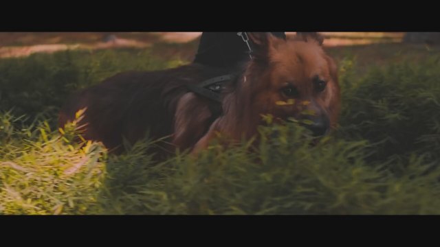 Cold Case (2021) Fragman