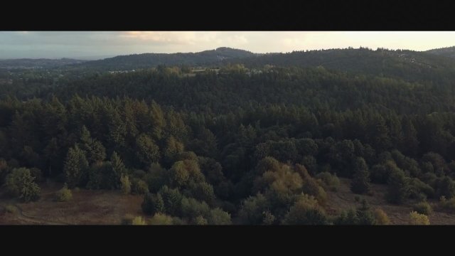 Bigfoot: Path of the Beast (2020) Fragman