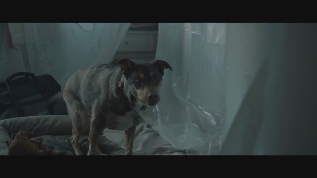 The Secret of Sinchanee (2021) Fragman