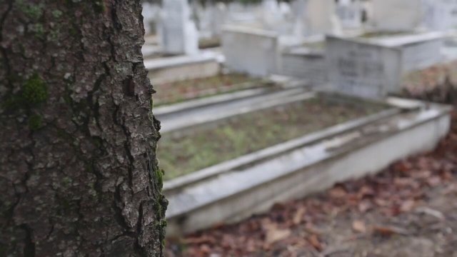 Merhaba Canım (2021) - Fragman