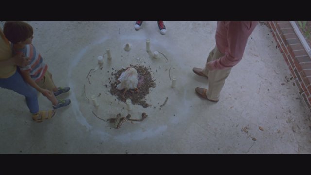 Not Alone (2021) Fragman