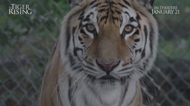 The Tiger Rising (2022) Fragman
