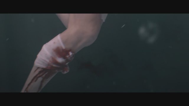 The Requin (2022) Fragman