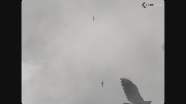 The Tragedy of Macbeth (2021) 2. Fragman