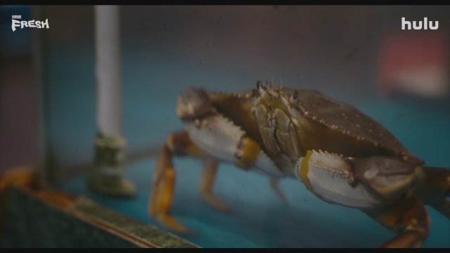 Fresh (2022) Fragman