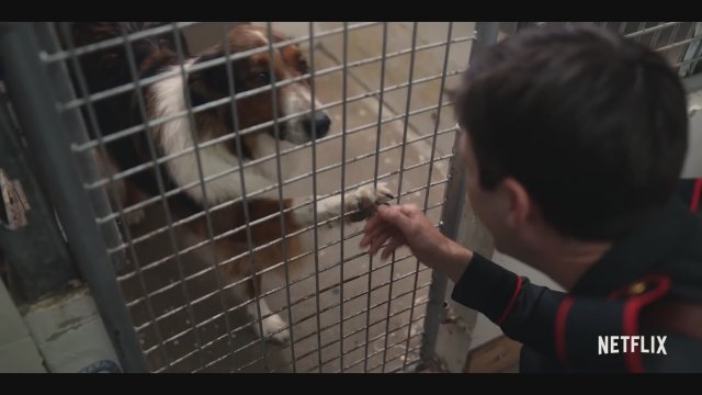 Kurtarma Köpeği Ruby 2022 Fragman