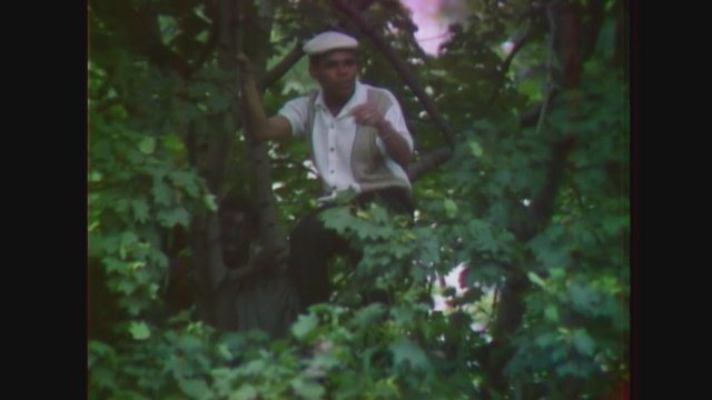 SUMMER OF SOUL Teaser