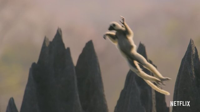 Our Great National Parks (2022) Fragman