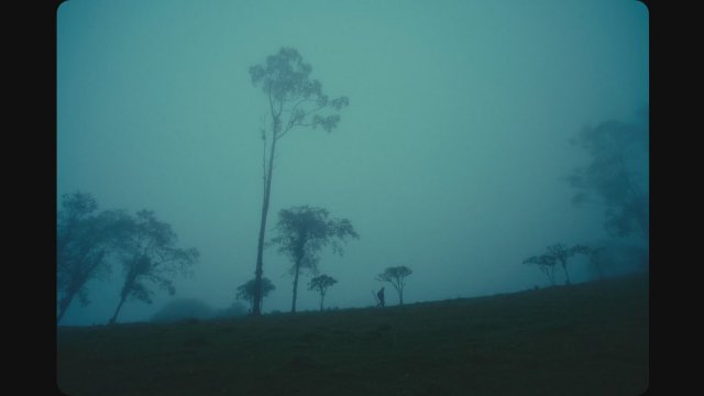 Domingo y la niebla (2022) Fragman
