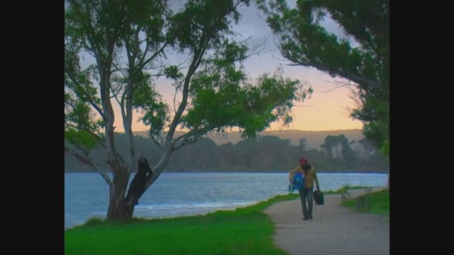 Magnetic Fields (2021) Fragman