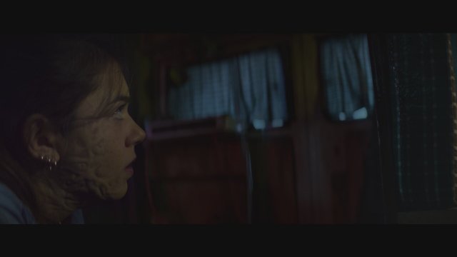 The Passenger (2021) Fragman