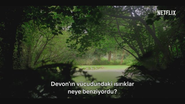 Fate: The Winx Saga (2021) 2. Sezon İlk Bakış