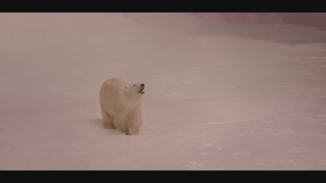 Polaris (2022) Fragman